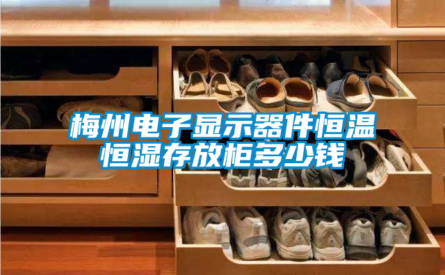 梅州電子顯示器件恒溫恒濕存放柜多少錢