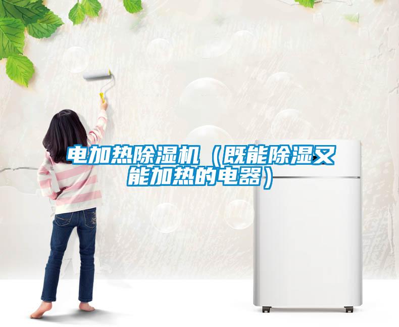 電加熱除濕機（既能除濕又能加熱的電器）