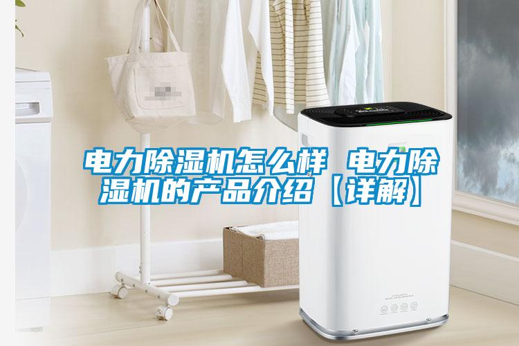 電力除濕機怎么樣 電力除濕機的產(chǎn)品介紹【詳解】