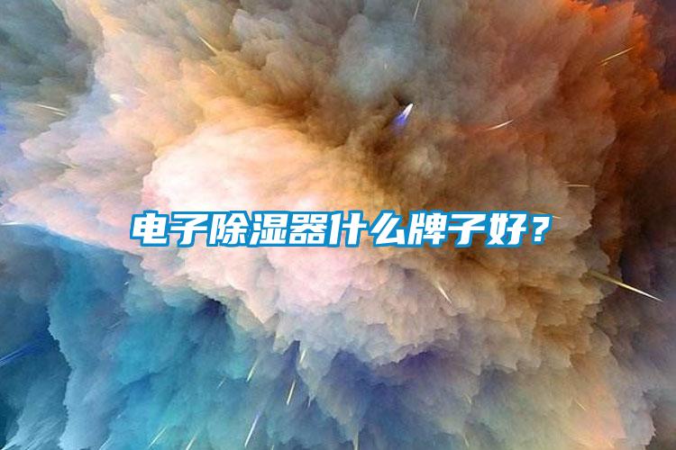 電子除濕器什么牌子好？