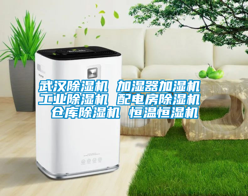 武漢除濕機(jī) 加濕器加濕機(jī) 工業(yè)除濕機(jī) 配電房除濕機(jī) 倉庫除濕機(jī) 恒溫恒濕機(jī)