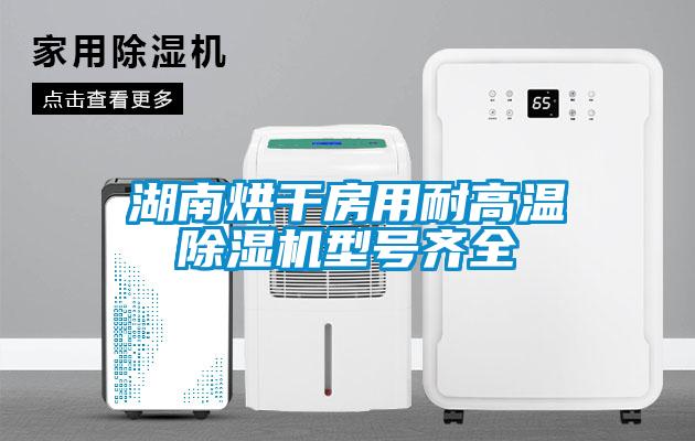 湖南烘干房用耐高溫除濕機型號齊全