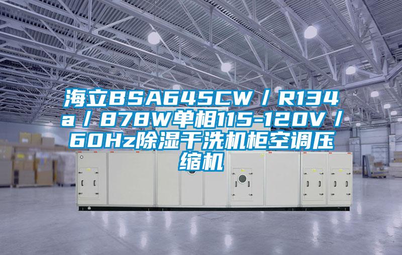 海立BSA645CW／R134a／878W單相115-120V／60Hz除濕干洗機柜空調壓縮機