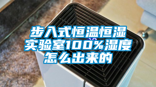 步入式恒溫恒濕實驗室100%濕度怎么出來的