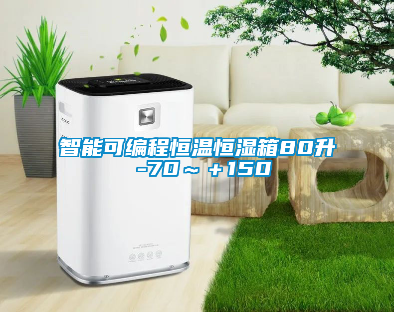 智能可編程恒溫恒濕箱80升 -70～＋150℃