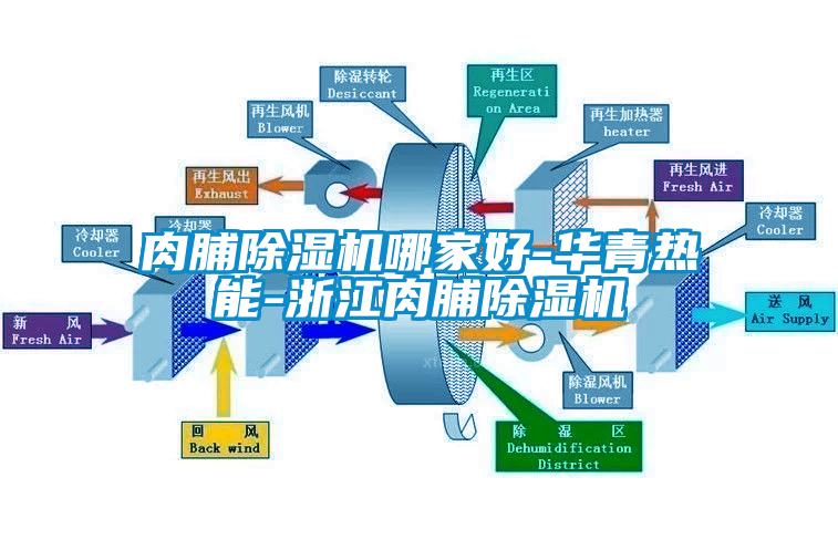 肉脯除濕機(jī)哪家好-華青熱能-浙江肉脯除濕機(jī)