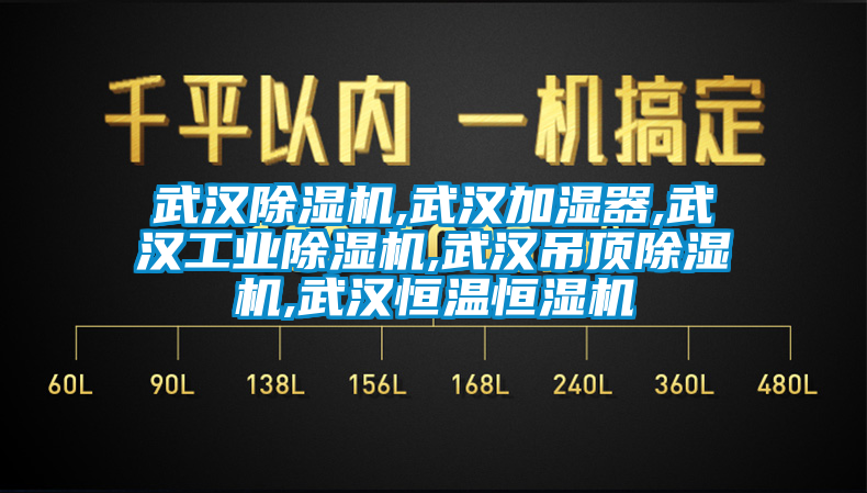 武漢除濕機(jī),武漢加濕器,武漢工業(yè)除濕機(jī),武漢吊頂除濕機(jī),武漢恒溫恒濕機(jī)