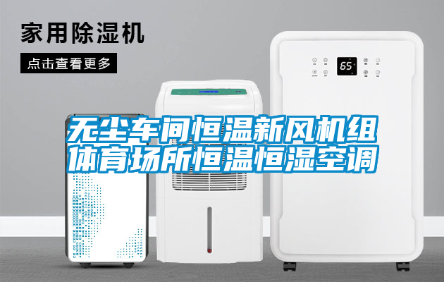 無塵車間恒溫新風(fēng)機組體育場所恒溫恒濕空調(diào)