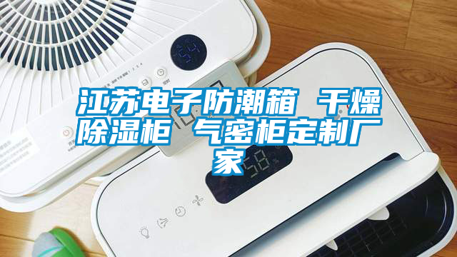 江蘇電子防潮箱 干燥除濕柜 氣密柜定制廠家