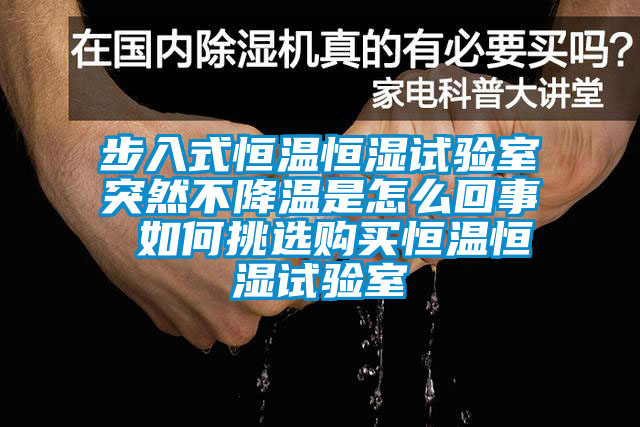 步入式恒溫恒濕試驗(yàn)室突然不降溫是怎么回事 如何挑選購(gòu)買恒溫恒濕試驗(yàn)室