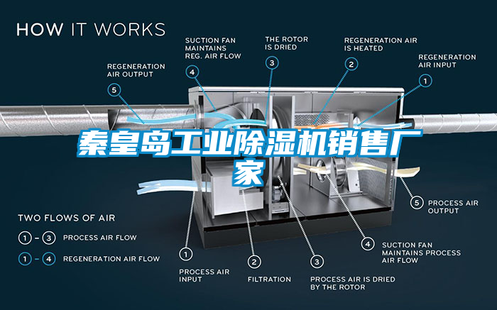 秦皇島工業(yè)除濕機(jī)銷售廠家