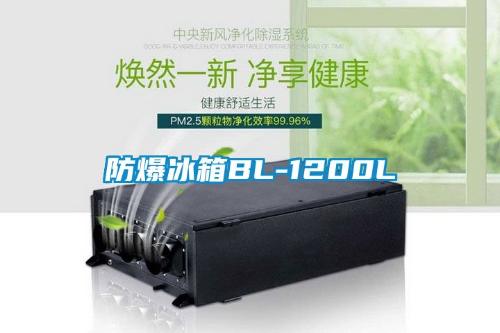 防爆冰箱BL-1200L