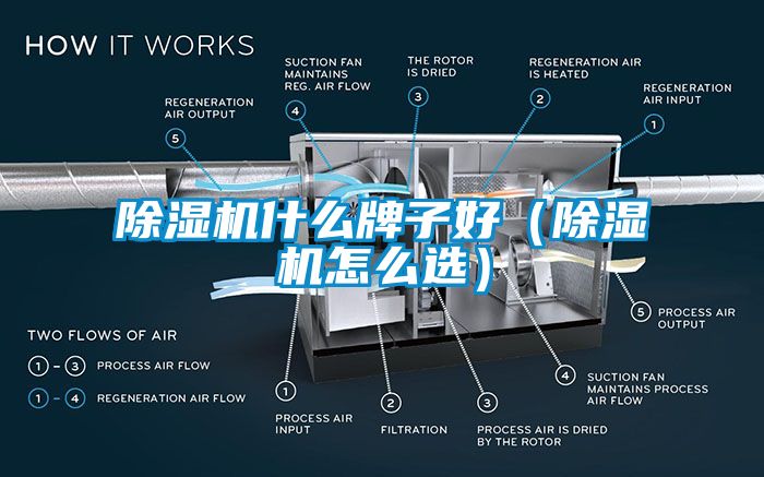 除濕機(jī)什么牌子好（除濕機(jī)怎么選）