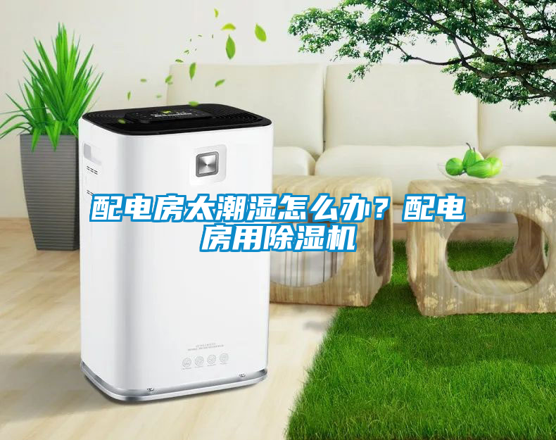 配電房太潮濕怎么辦？配電房用除濕機(jī)