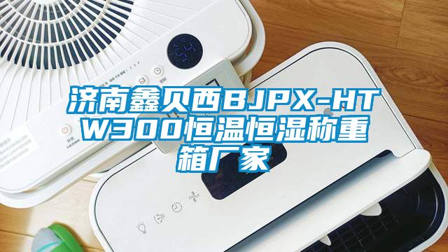 濟(jì)南鑫貝西BJPX-HTW300恒溫恒濕稱重箱廠家