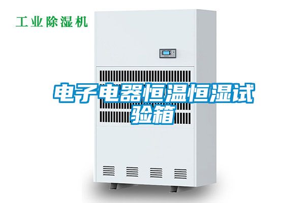 電子電器恒溫恒濕試驗箱