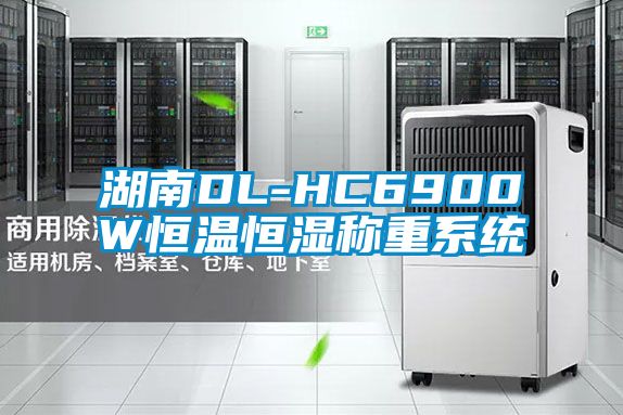 湖南DL-HC6900W恒溫恒濕稱重系統(tǒng)