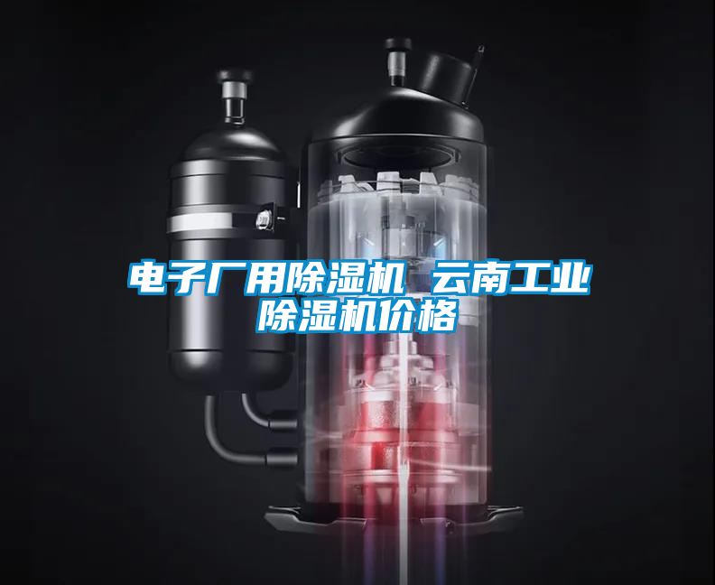 電子廠用除濕機(jī) 云南工業(yè)除濕機(jī)價(jià)格