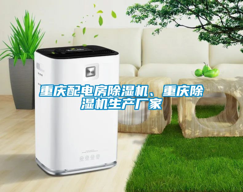 重慶配電房除濕機(jī)、重慶除濕機(jī)生產(chǎn)廠家