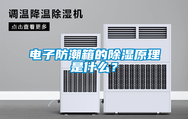 電子防潮箱的除濕原理是什么？