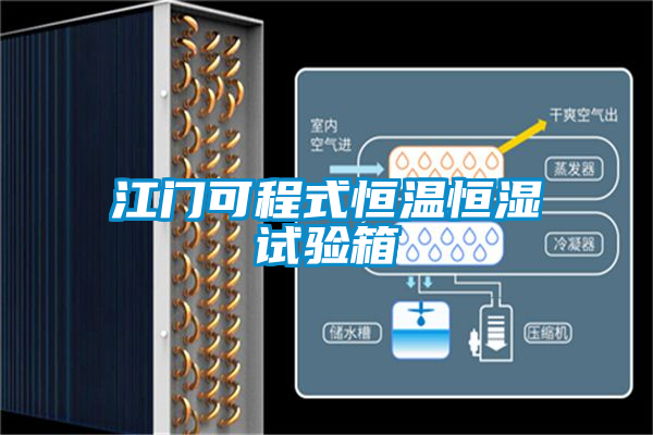江門可程式恒溫恒濕試驗(yàn)箱