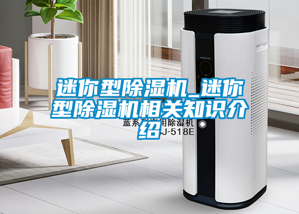 迷你型除濕機_迷你型除濕機相關(guān)知識介紹