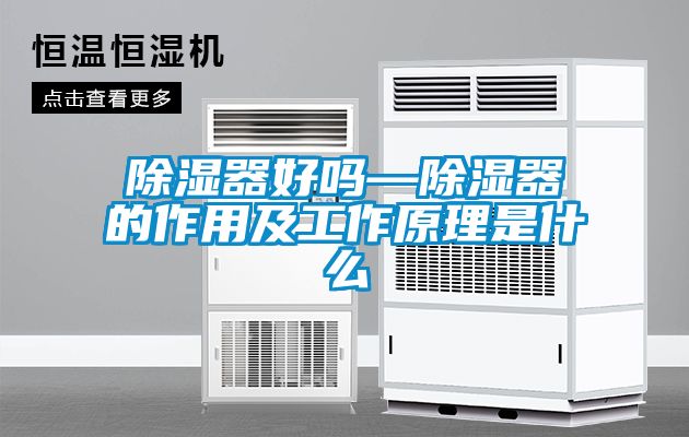 除濕器好嗎—除濕器的作用及工作原理是什么