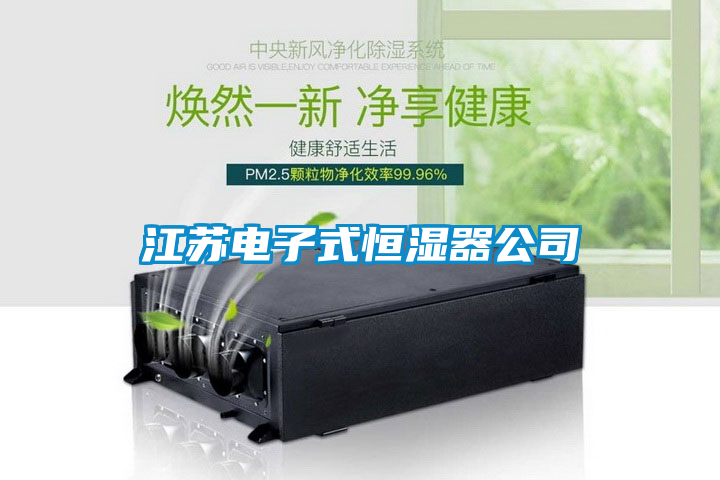 江蘇電子式恒濕器公司