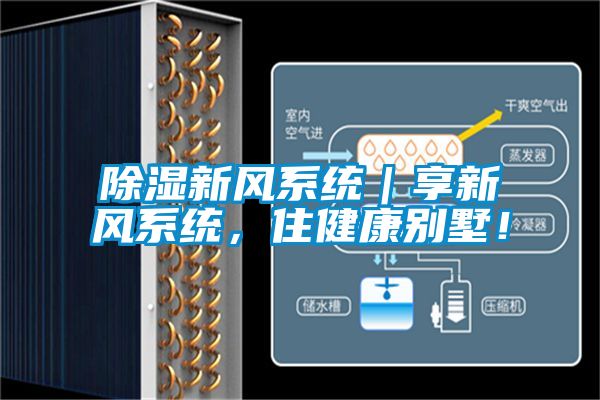 除濕新風系統(tǒng)｜享新風系統(tǒng)，住健康別墅！