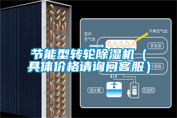 節(jié)能型轉(zhuǎn)輪除濕機(jī)（具體價(jià)格請(qǐng)?jiān)儐柨头?></div>
								<div   id=