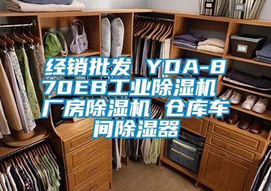 經(jīng)銷批發(fā) YDA-870EB工業(yè)除濕機(jī) 廠房除濕機(jī) 倉庫車間除濕器