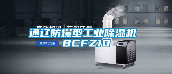 通遼防爆型工業(yè)除濕機 BCFZ10