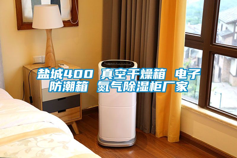 鹽城400℃真空干燥箱 電子防潮箱 氮氣除濕柜廠家