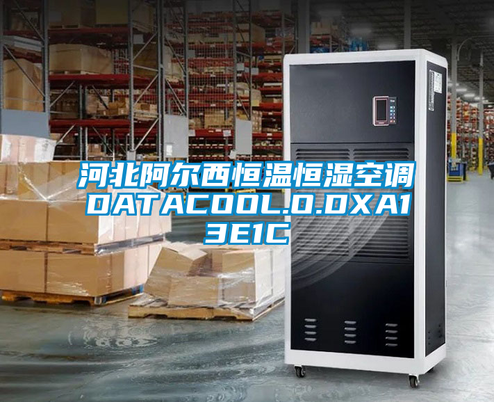 河北阿爾西恒溫恒濕空調(diào)DATACOOL.O.DXA13E1C