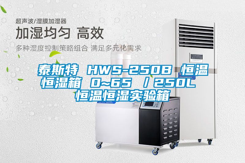 泰斯特 HWS-250B 恒溫恒濕箱 0~65℃／250L 恒溫恒濕實驗箱