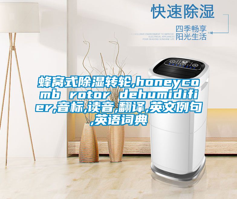 蜂窩式除濕轉(zhuǎn)輪,honeycomb rotor dehumidifier,音標,讀音,翻譯,英文例句,英語詞典