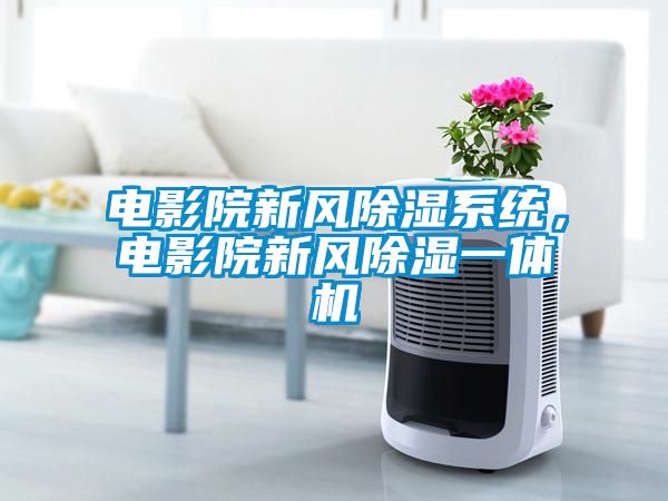 電影院新風除濕系統(tǒng)，電影院新風除濕一體機