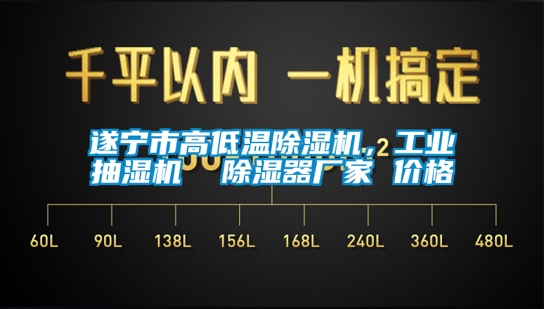 遂寧市高低溫除濕機(jī)，工業(yè)抽濕機(jī)  除濕器廠家 價(jià)格