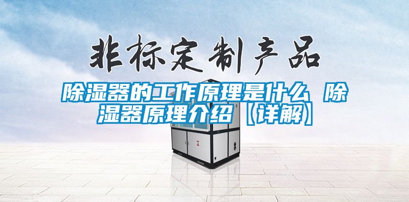 除濕器的工作原理是什么 除濕器原理介紹【詳解】