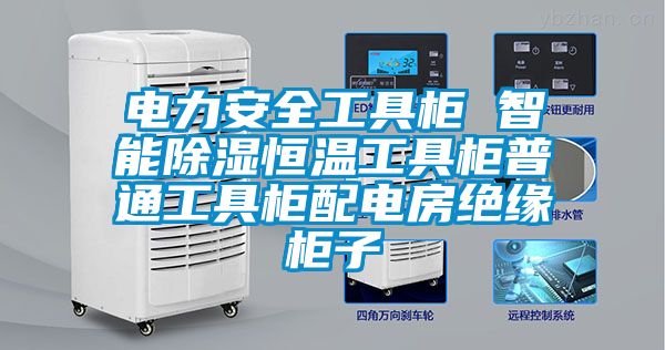 電力安全工具柜 智能除濕恒溫工具柜普通工具柜配電房絕緣柜子