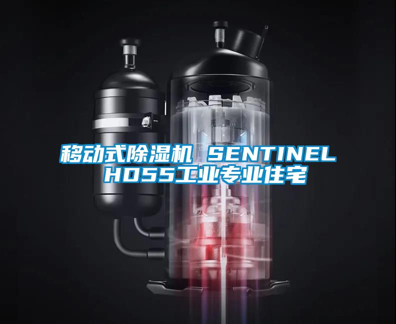 移動(dòng)式除濕機(jī) SENTINEL HD55工業(yè)專業(yè)住宅