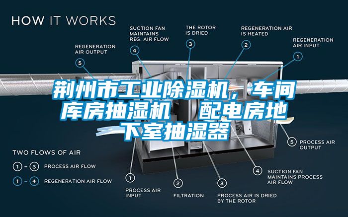 荊州市工業(yè)除濕機(jī)，車間庫房抽濕機(jī)  配電房地下室抽濕器