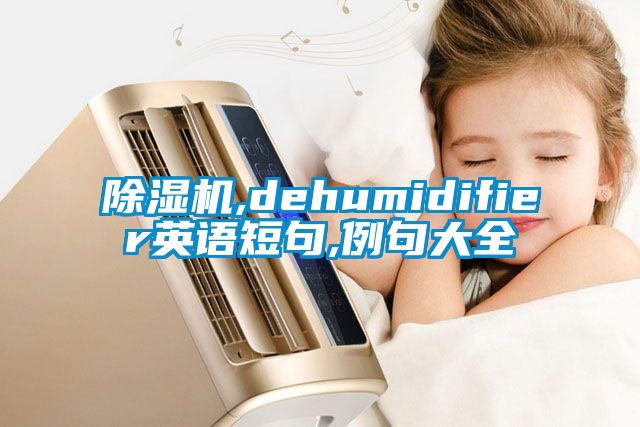 除濕機,dehumidifier英語短句,例句大全