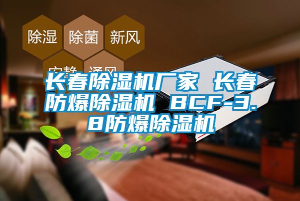 長(zhǎng)春除濕機(jī)廠家 長(zhǎng)春防爆除濕機(jī) BCF-3.8防爆除濕機(jī)