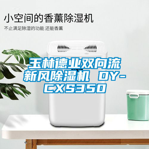 玉林德業(yè)雙向流新風(fēng)除濕機(jī) DY-CXS350