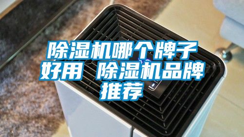 除濕機哪個牌子好用 除濕機品牌推薦