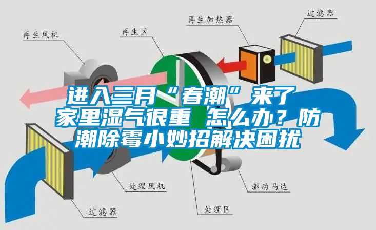 進入三月“春潮”來了 家里濕氣很重 怎么辦？防潮除霉小妙招解決困擾