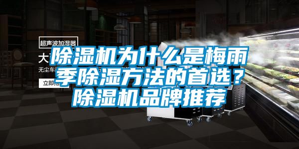 除濕機為什么是梅雨季除濕方法的首選？除濕機品牌推薦