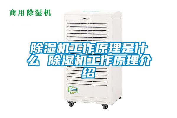 除濕機(jī)工作原理是什么 除濕機(jī)工作原理介紹