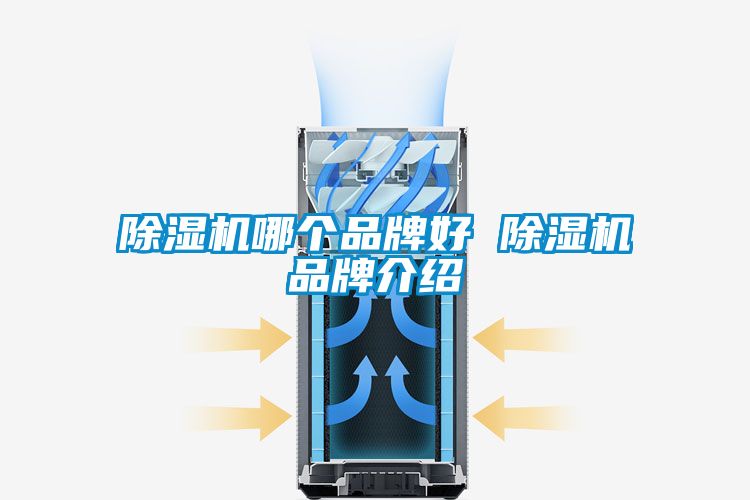 除濕機哪個品牌好 除濕機品牌介紹